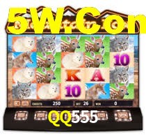 QQ555,qq555.com